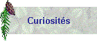 Curiosits